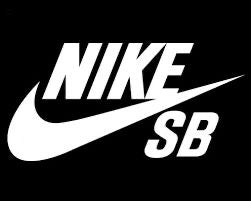 Nike SB Pants