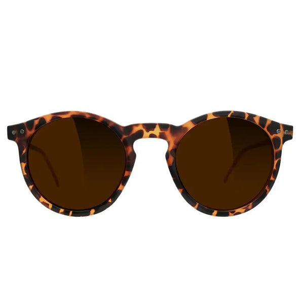 Gafas de sol polarizadas Glassy Apollo Premium - Tortuga